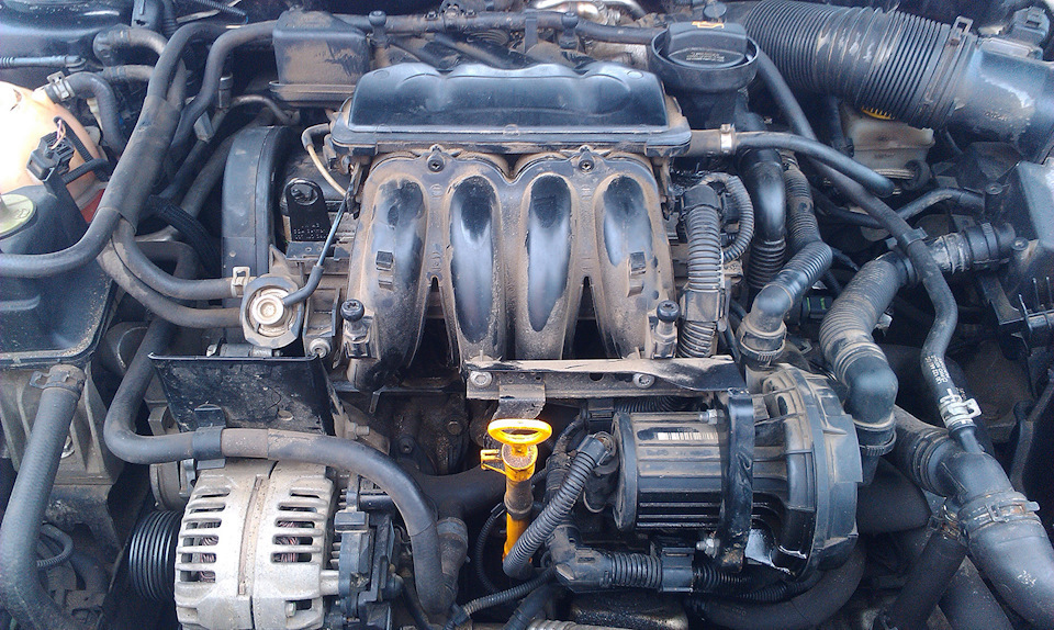 Volkswagen 1.6 BSE, BFQ, BSF - Motor Inspektion